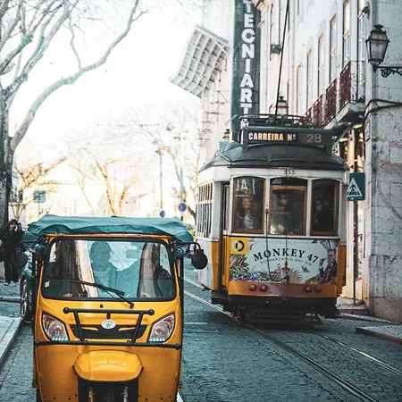 Lx Seleni Lisboa