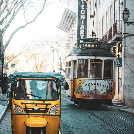Seleni Lisboa